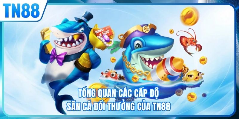 Tổng quan các cấp độ săn cá đổi thưởng của TN88